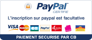 Logo paypal 2